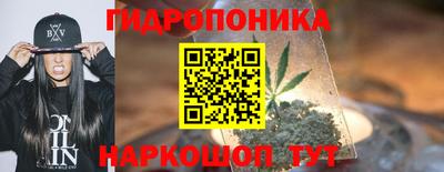 ГАЛЛЮЦИНОГЕННЫЕ ГРИБЫ Кинель