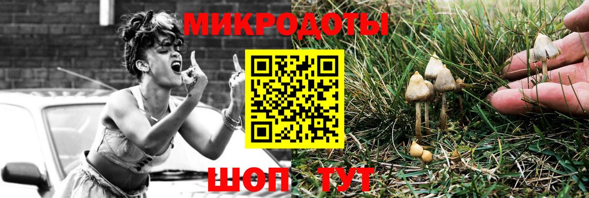 Ярцево  Псилоцибиновые грибы Psilocybe  Псилоцибиновые грибы GOLDEN TEACHER  Вход с VPN 
